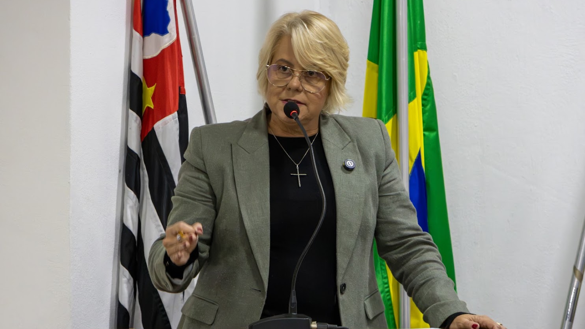 Henriana cobra proteção aos trabalhadores da PEAK Ambiental durante uso da tribuna